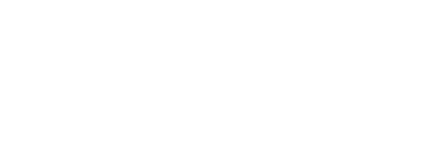 Promaster Chess Openings